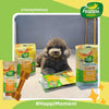 Happi Doggy Vegetarian Dental Chew (Digestive Support) - Pumpkin & Mountain Yam (Singles) - 25 g-9