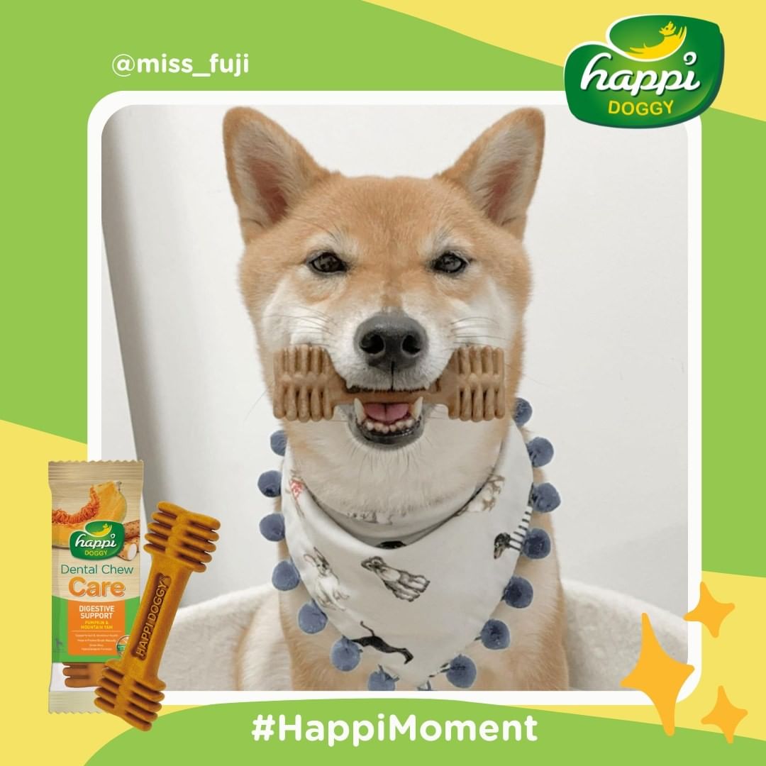 Happi Doggy Vegetarian Dental Chew - Care (Digestive Support) - Pumpkin & Mountain Yam - Petite - 2.5 inch -150 g - 18 Pieces-7
