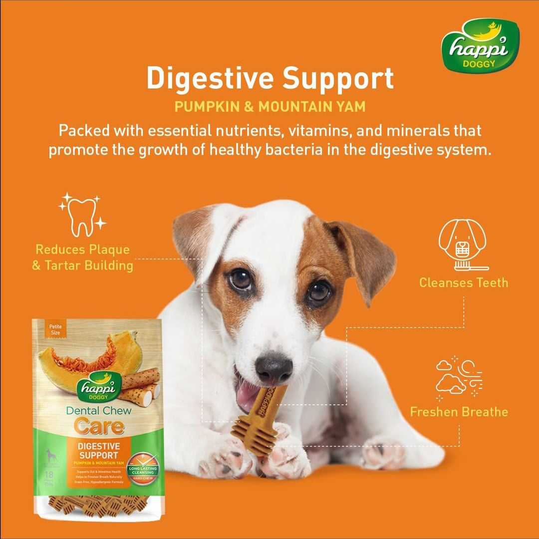 Happi Doggy Vegetarian Dental Chew Care Digestive Support Pumpkin Mountain Yam Petite 2.5 inch 150 g 18 Pieces