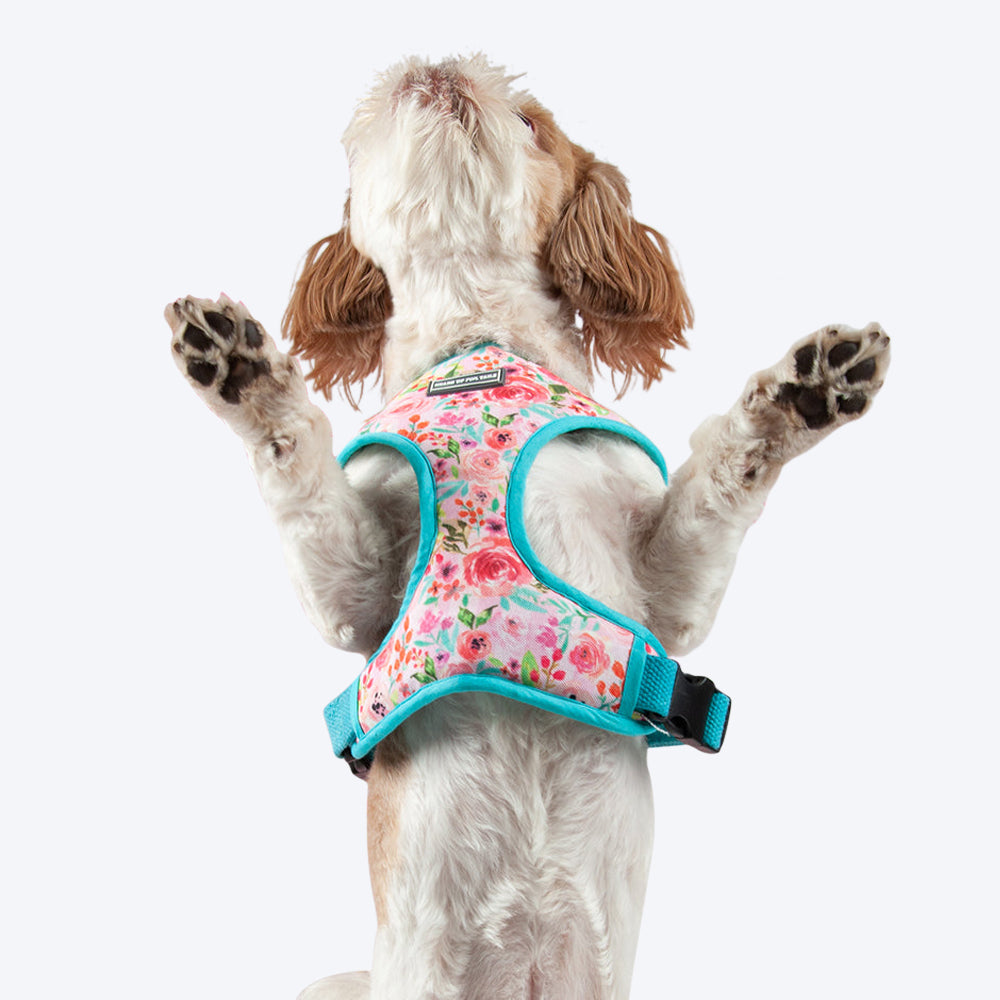 HUFT Fresh Blooms Reversible Dog Harness - Heads Up For Tails