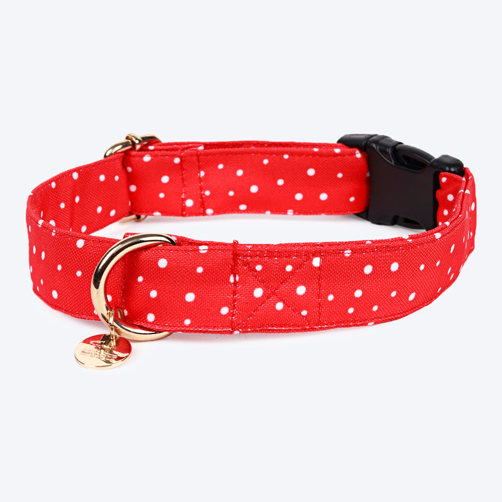 HUFT Polka Dot Collar For Dogs - Heads Up For Tails