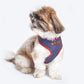 HUFT The Indian Collective Raag Small Dog Harness - Red & Blue - Heads Up For Tails