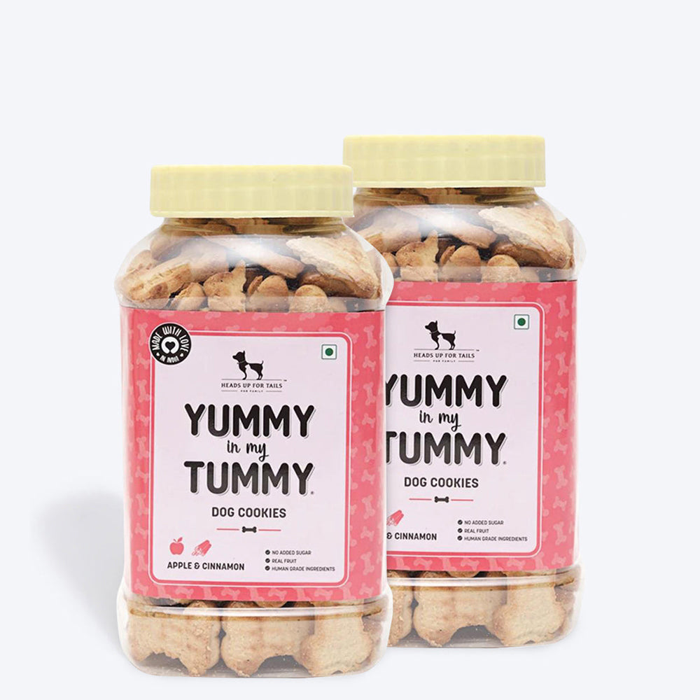 HUFT YIMT Apple and Cinnamon Vegetarian Dog Biscuits - Heads Up For Tails