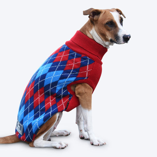 HUFT Argyle Dog Sweater - Heads Up For Tails