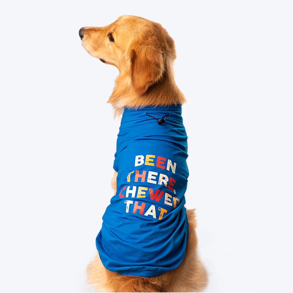 HUFT Been There Chewed That T-Shirt For Dogs - Blue - Heads Up For Tails