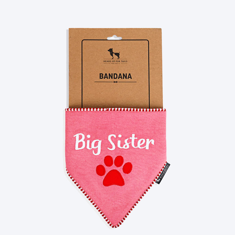 Big sister hotsell bandana dog