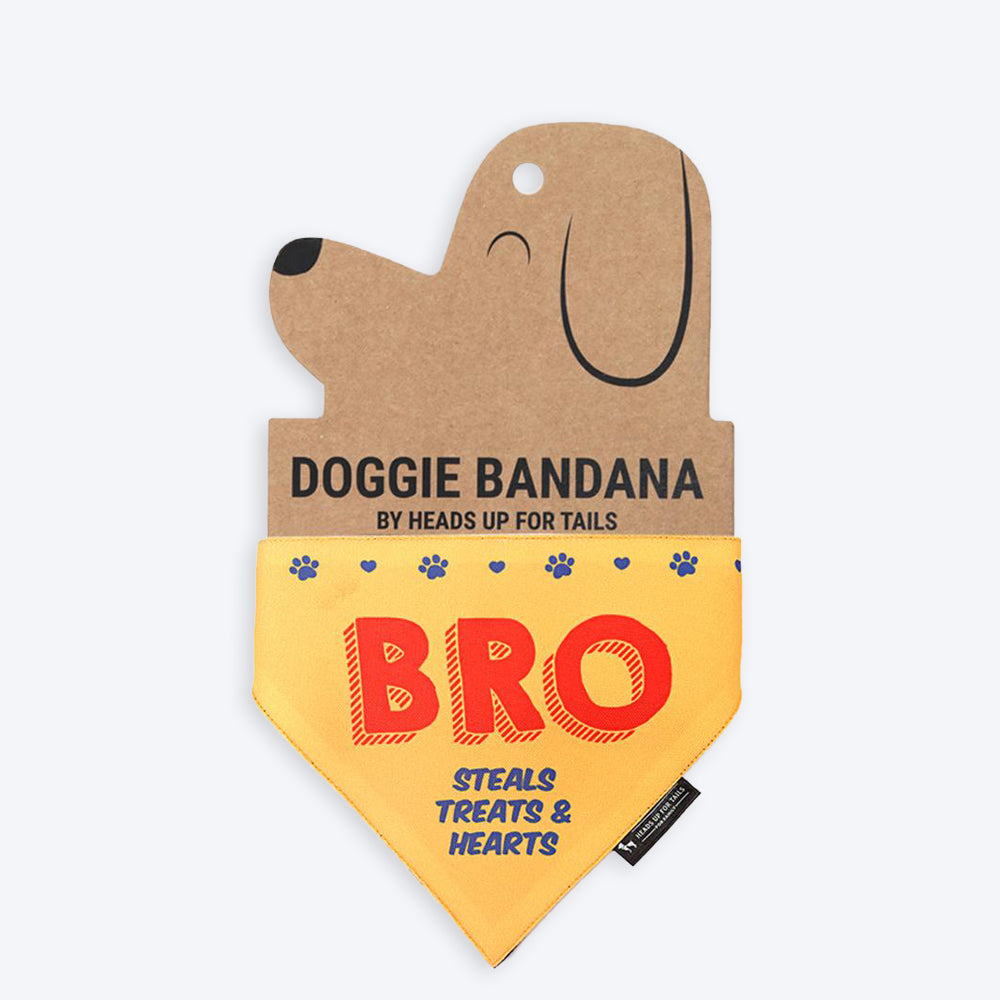 HUFT Bro - Steals Treats & Hearts Dog Bandana - Heads Up For Tails