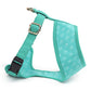 HUFT The Indian Collective Aranya Small Dog Harness - Sky Blue4