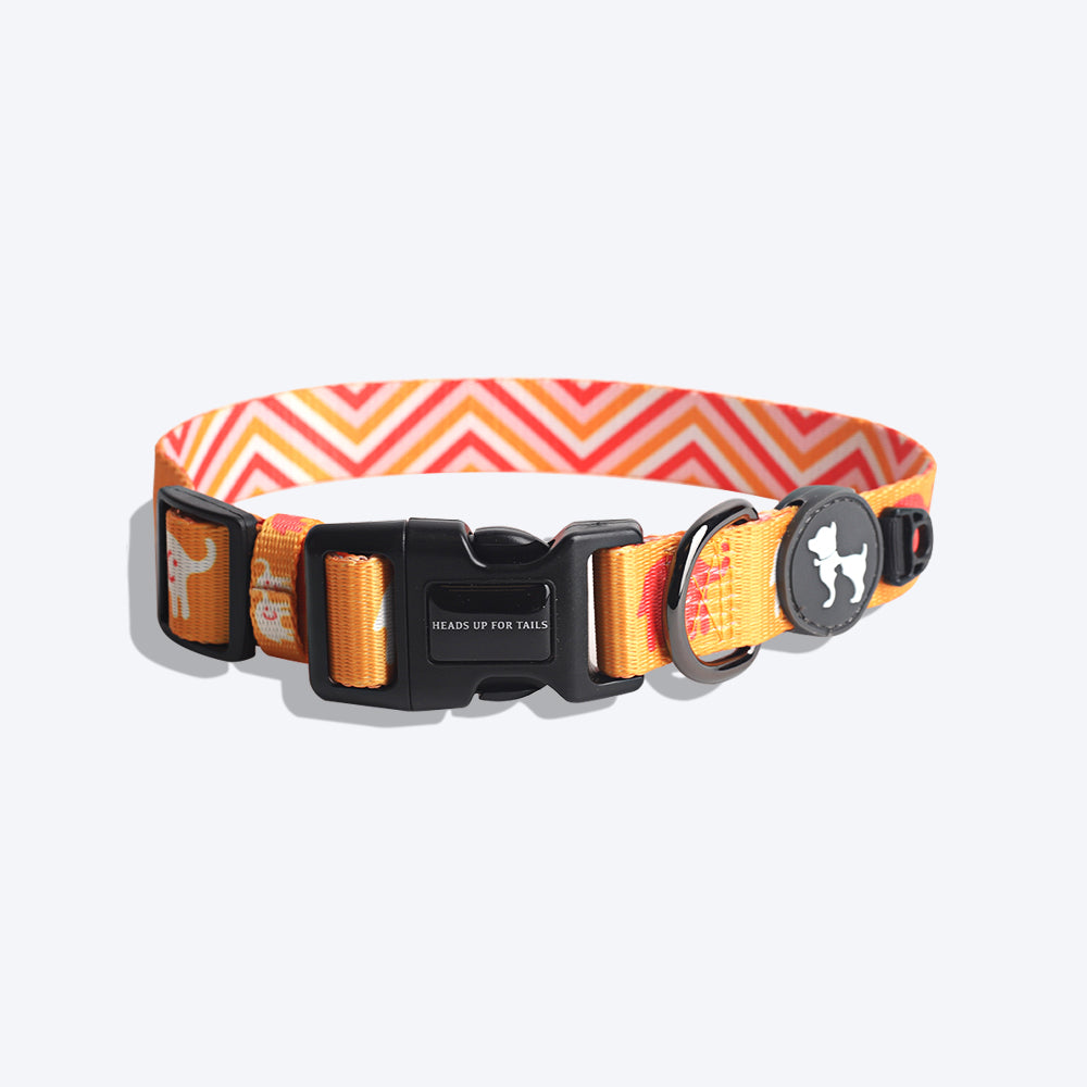 HUFT Summer Legacy Printed Collar - Heads Up For Tails