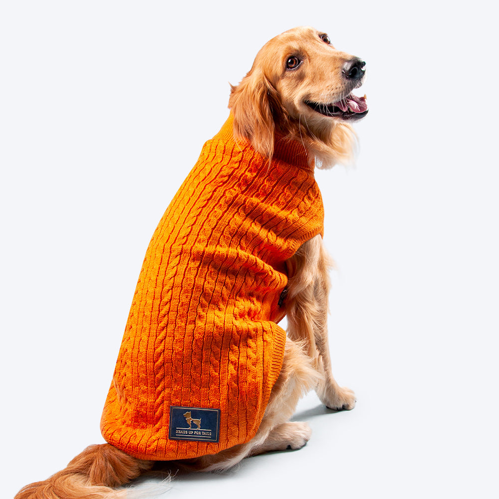 HUFT Cable Knit Dog Sweater - Orange - Heads Up For Tails