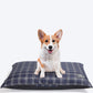 HUFT Checkered Dog Bed - Navy - Heads Up For Tails