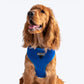 HUFT Classic Mesh Dog Harness - Blue-1