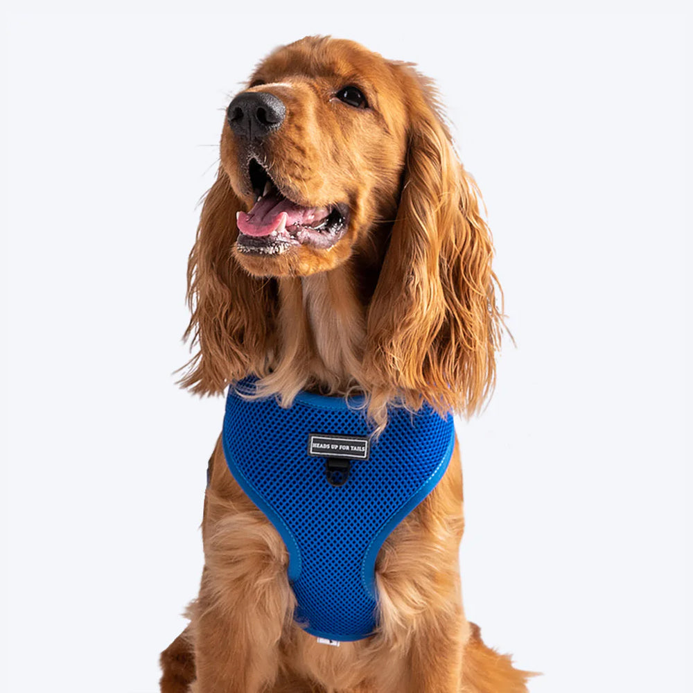 HUFT Classic Mesh Dog Harness - Blue-1