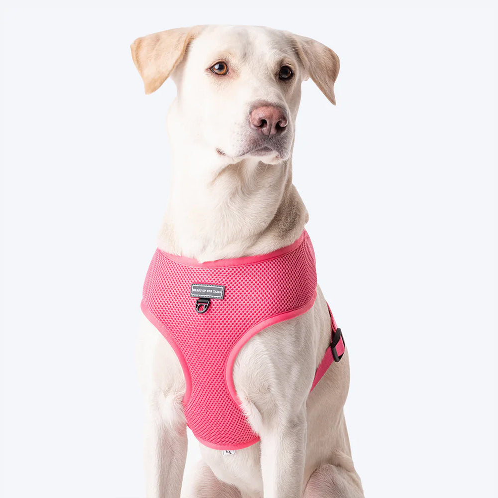 HUFT Classic Mesh Dog Harness - Pink-1