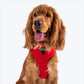 HUFT Classic Mesh Dog Harness - Red-1