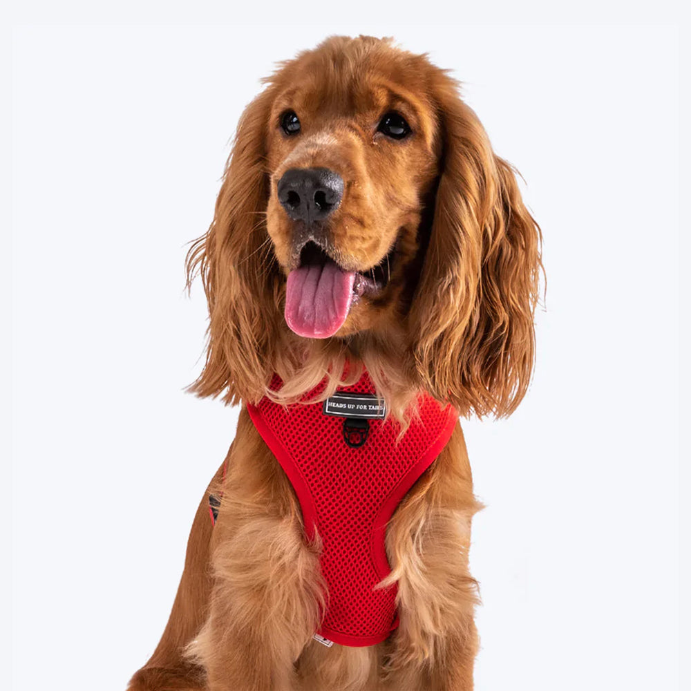 HUFT Classic Mesh Dog Harness - Red-1