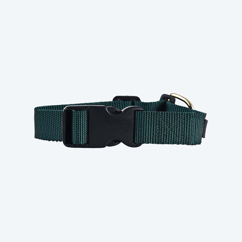 HUFT Classic Dog Collar - Olive Green (Can be Personalised) - Heads Up For Tails