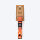 HUFT Classic Dog Collar - Orange (Can be Personalised) - Heads Up For Tails