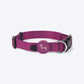 HUFT Classic Nylon Puppy Collar - Purple - Heads Up For Tails