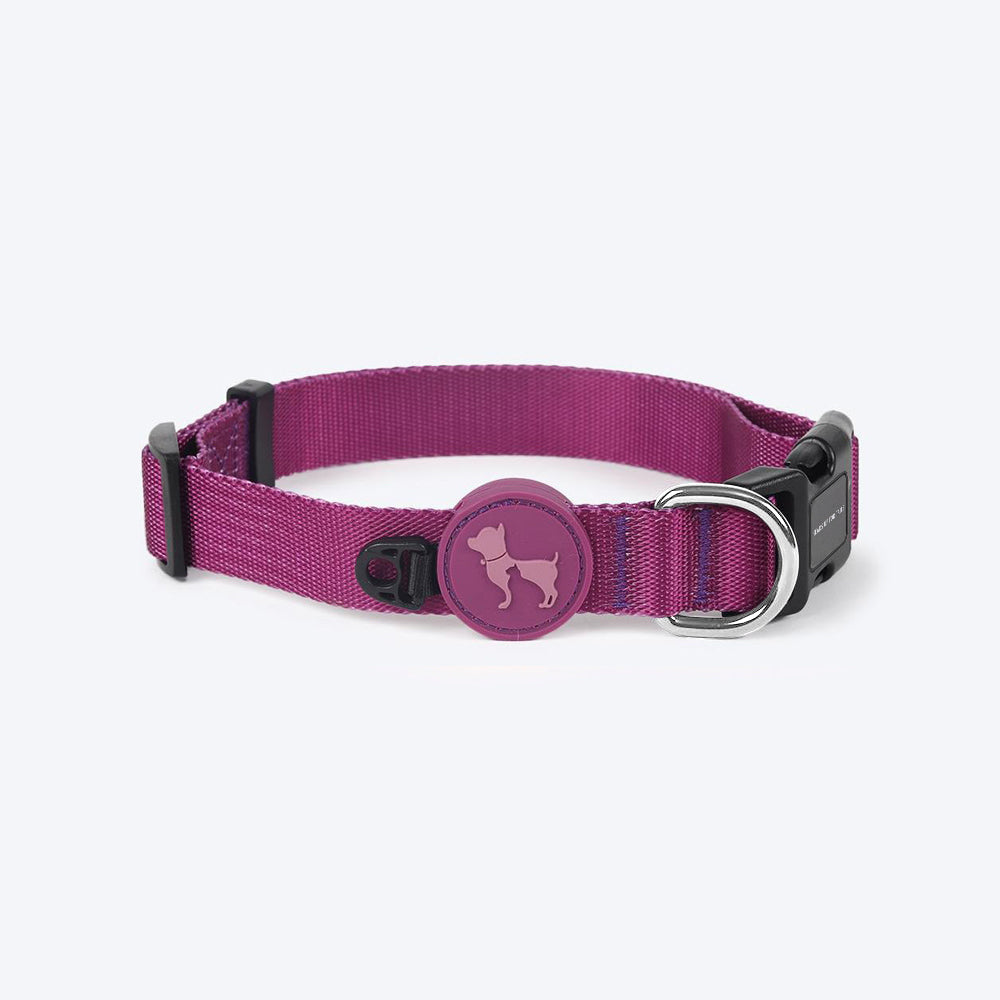 HUFT Classic Nylon Puppy Collar - Purple - Heads Up For Tails