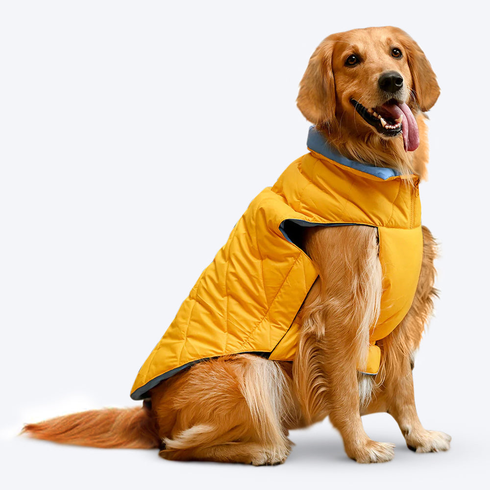 HUFT Cozy Pupper Reversible Dog Jacket - Yellow/Ocean Blue - Heads Up For Tails