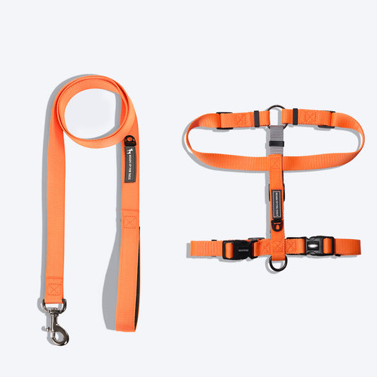 HUFT Essentials Nylon Dog H-Harness And Leash Set - Orange - Heads Up For Tails