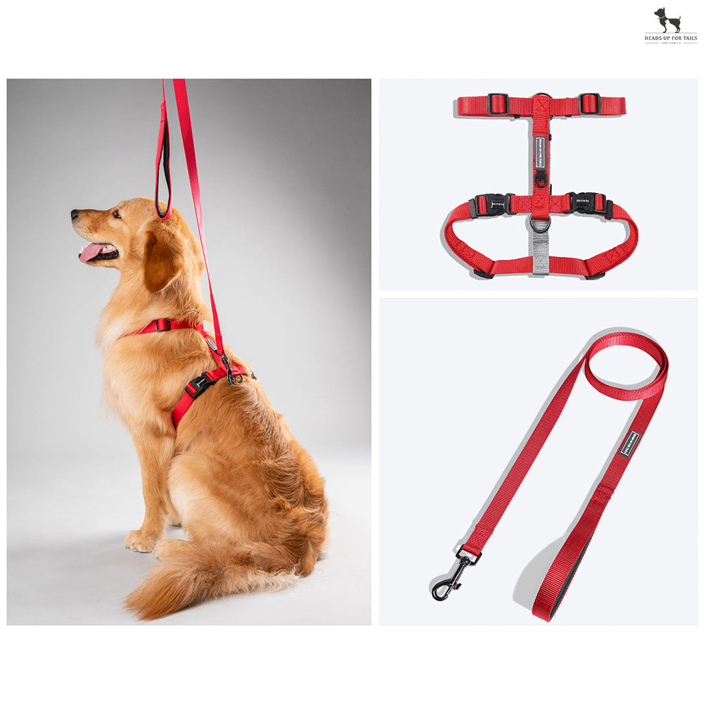 HUFT Essentials Nylon Dog H-Harness And Leash Set - Red - Heads Up For Tails