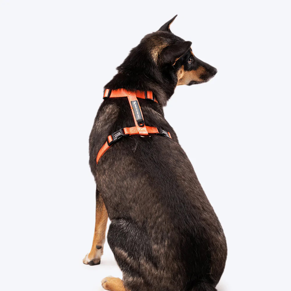 HUFT Essentials Nylon Dog H-Harness - Orange - Heads Up For Tails