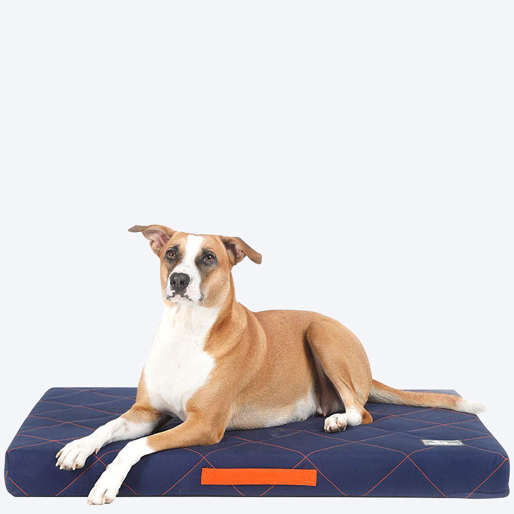 HUFT Essentials Sleep Tight Dog Bed - Navy - Heads Up For Tails