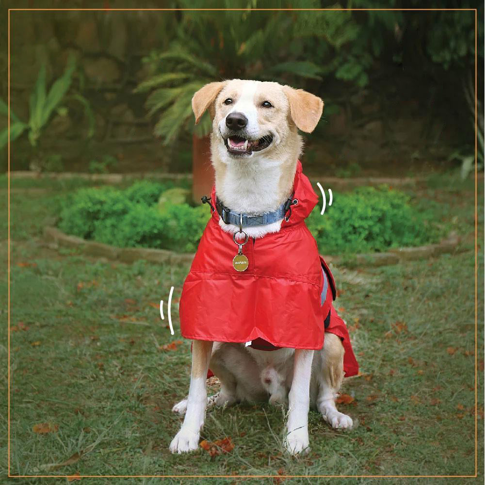 HUFT Pawring Dog Raincoat - Red - Heads Up For Tails