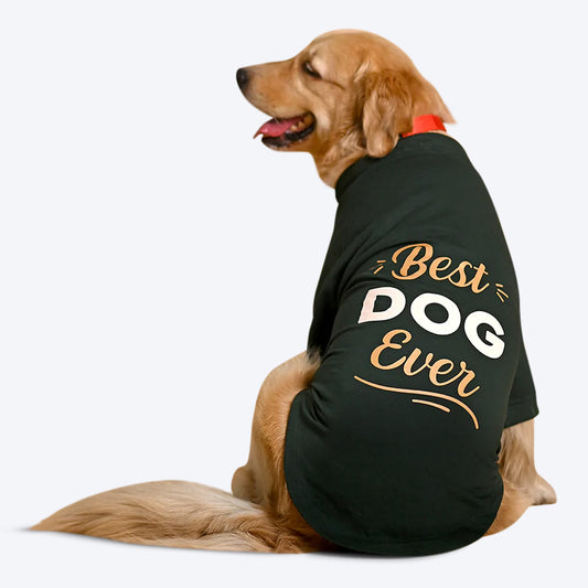HUFT Fleece Dog Sweatshirt - Dark Green - Heads Up For Tails