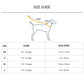 HUFT Follow the Rainbow Dog Leash - 1.5 m - Heads Up For Tails