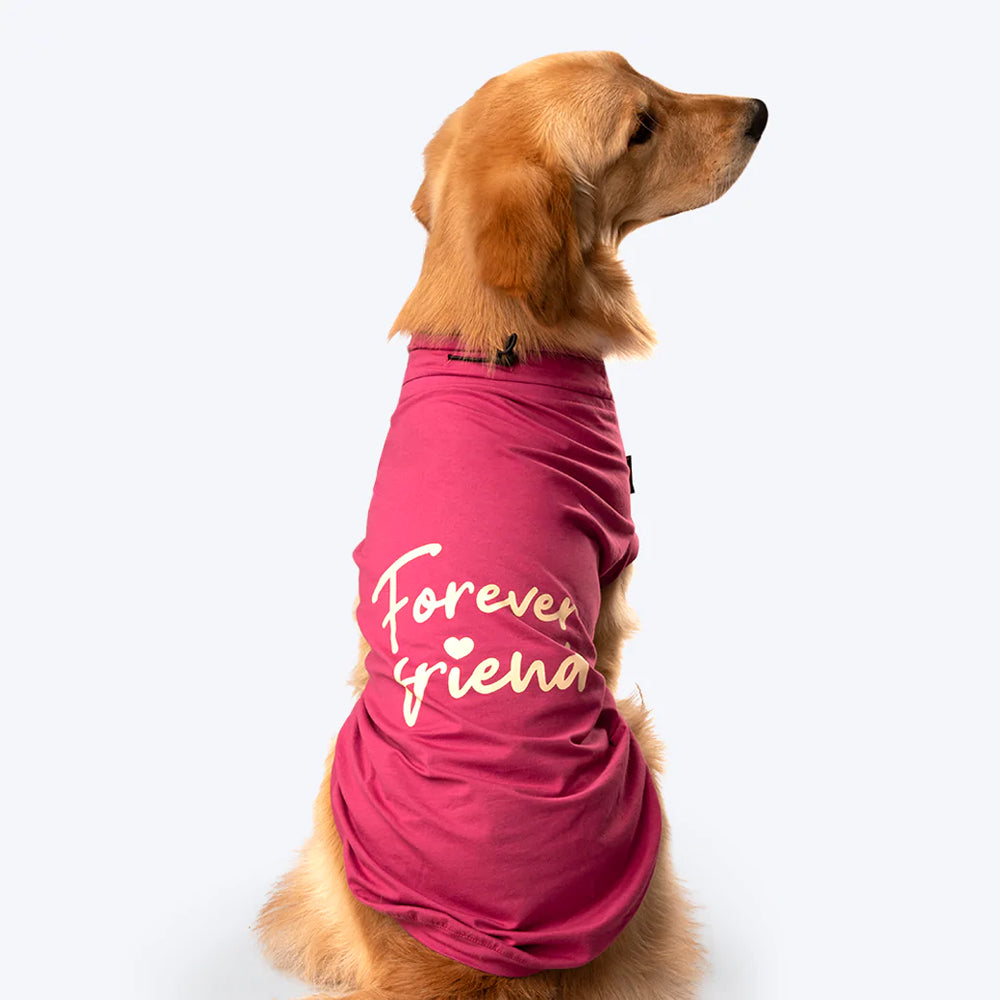 HUFT Forever Friend T-Shirt For Dogs - Purple - Heads Up For Tails