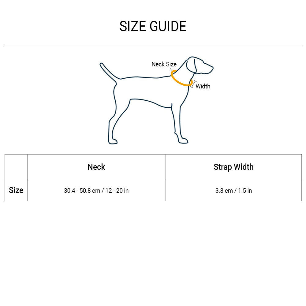 HUFT Foundation Reflective Collar - Heads Up For Tails