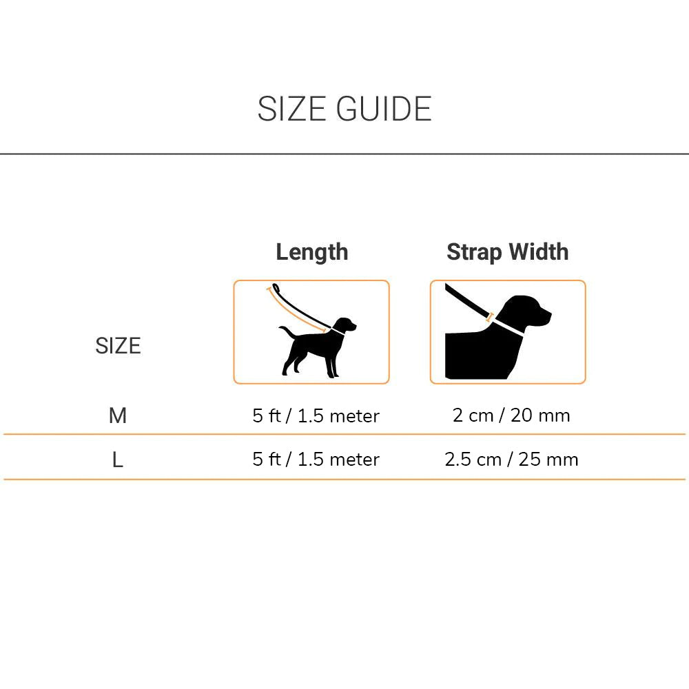HUFT Garden Party Stardust Leash - Heads Up For Tails