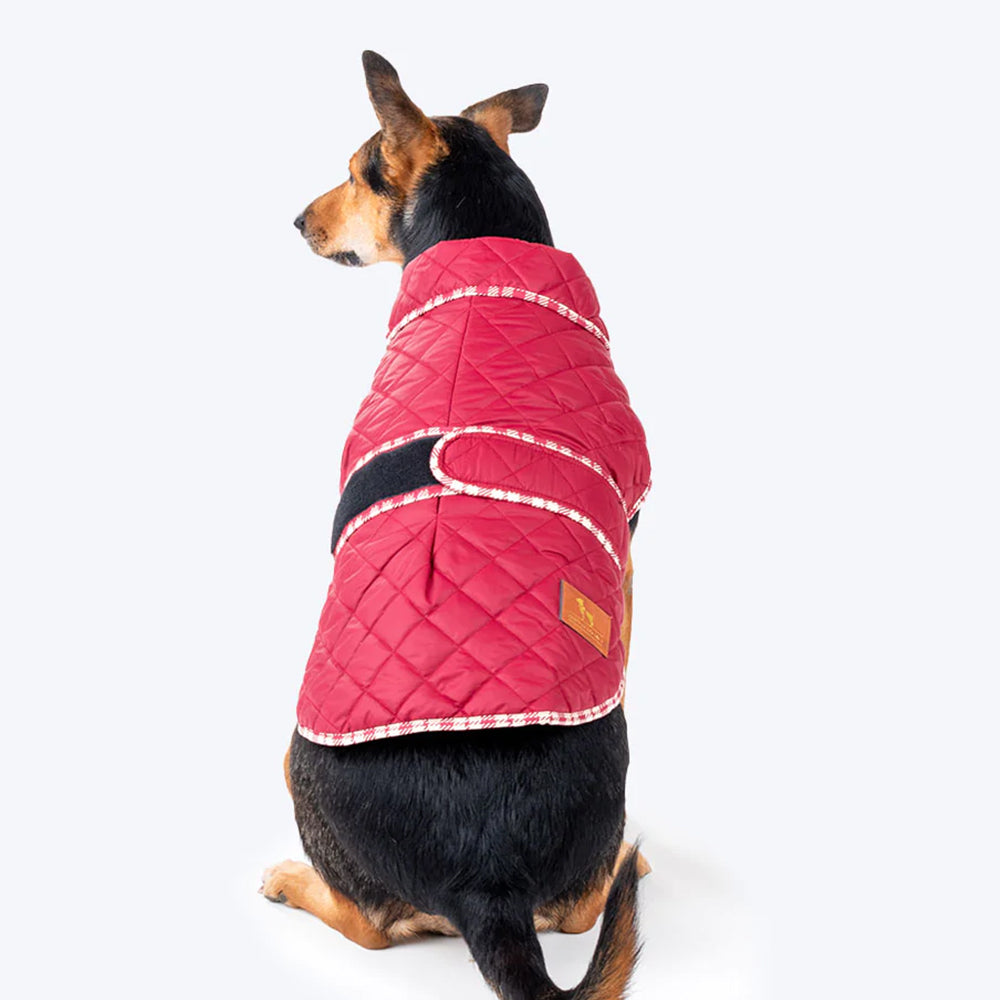 HUFT Grrberry Quilted Dog Jacket- Burnt Red – Heads Up For Tails