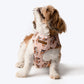 HUFT Jungle Collection Pride Reversible Dog Harness - Heads Up For Tails