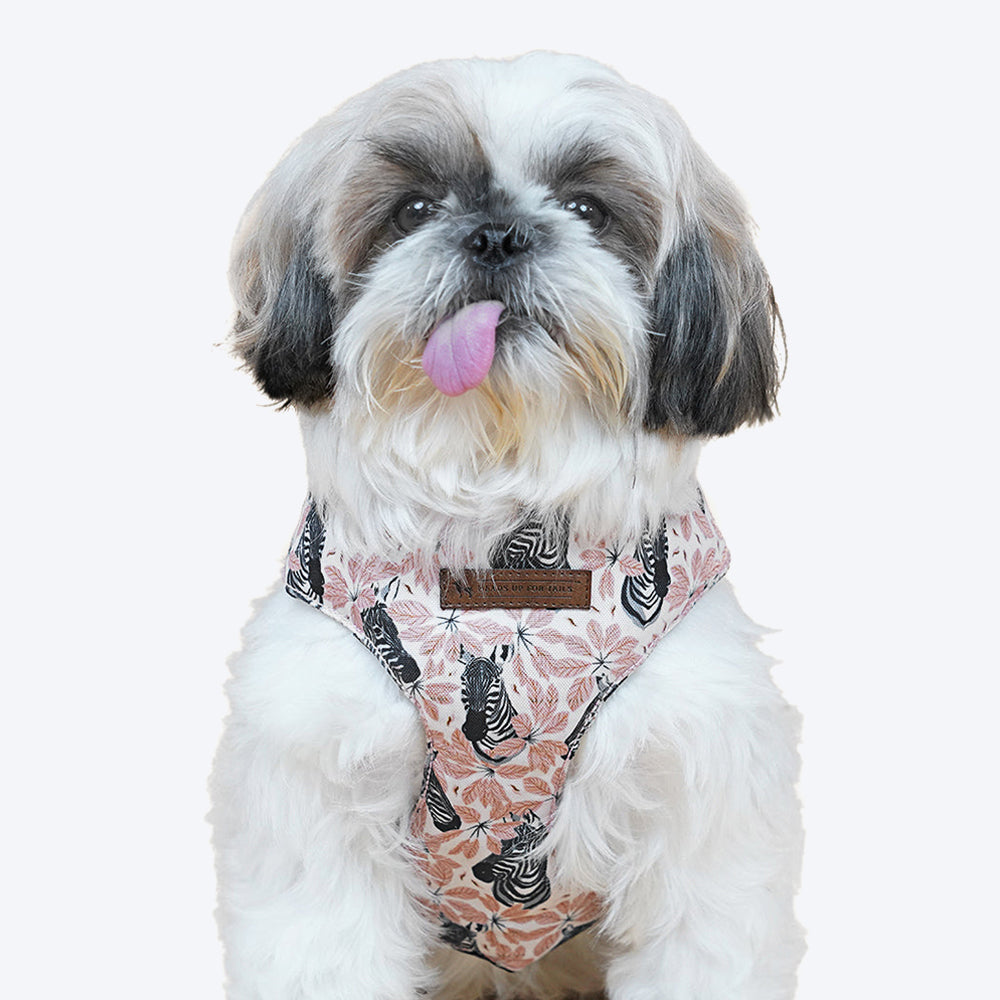 HUFT Jungle Collection Savanna's Dazzle Reversible Dog Harness - Heads Up For Tails