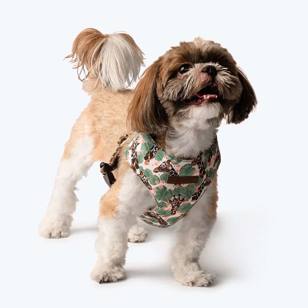 HUFT Jungle Collection Towering Grace Reversible Dog Harness - Heads Up For Tails