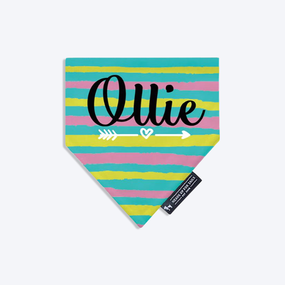 HUFT Love Struck Personalised Dog Bandana - Heads Up For Tails