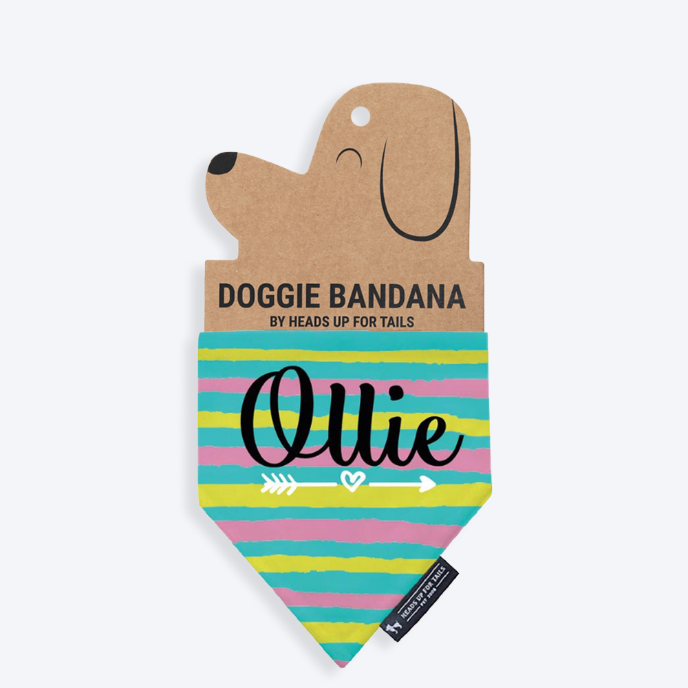 HUFT Love Struck Personalised Dog Bandana - Heads Up For Tails