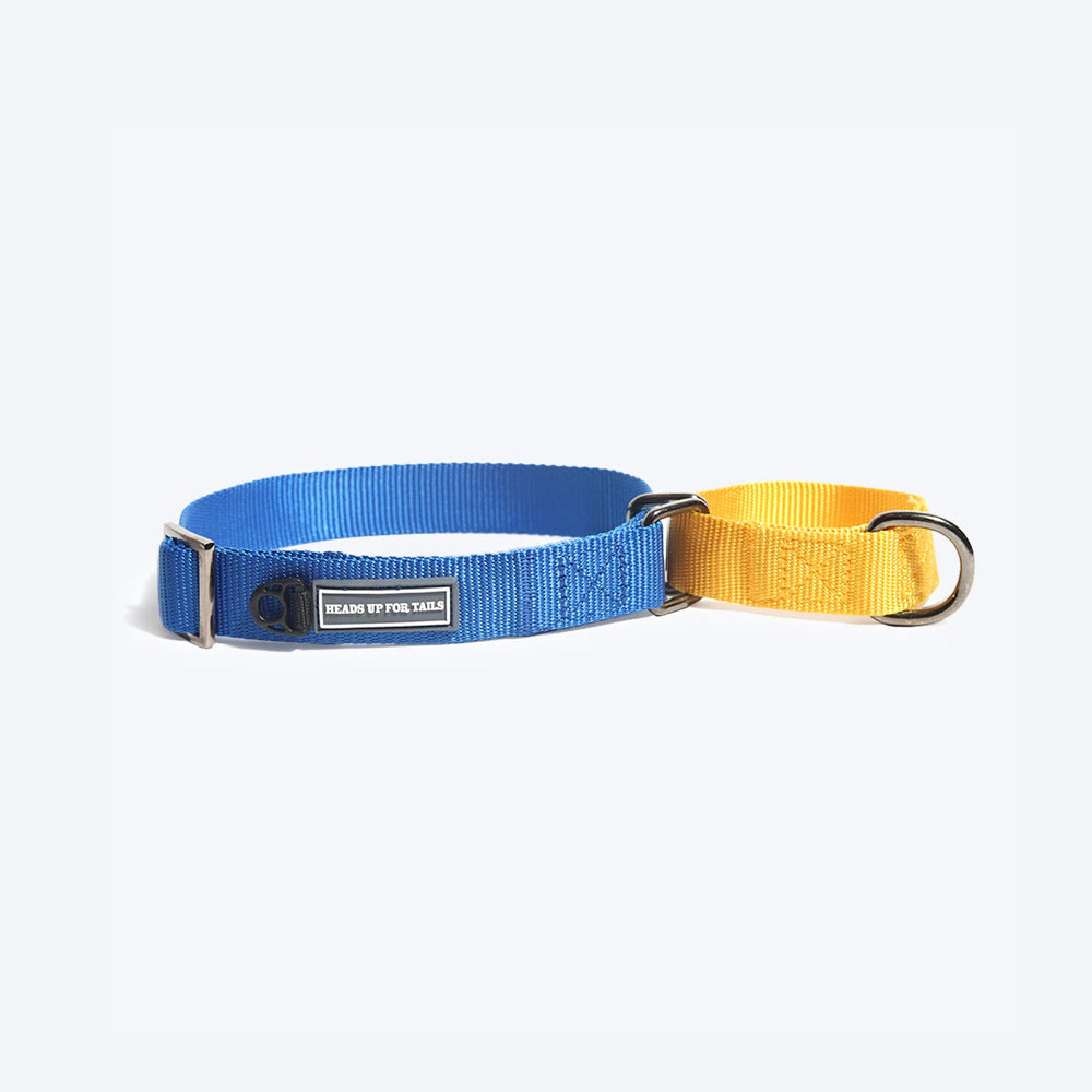 HUFT Martingale Dog Collar - Navy and Yellow - Heads Up For Tails