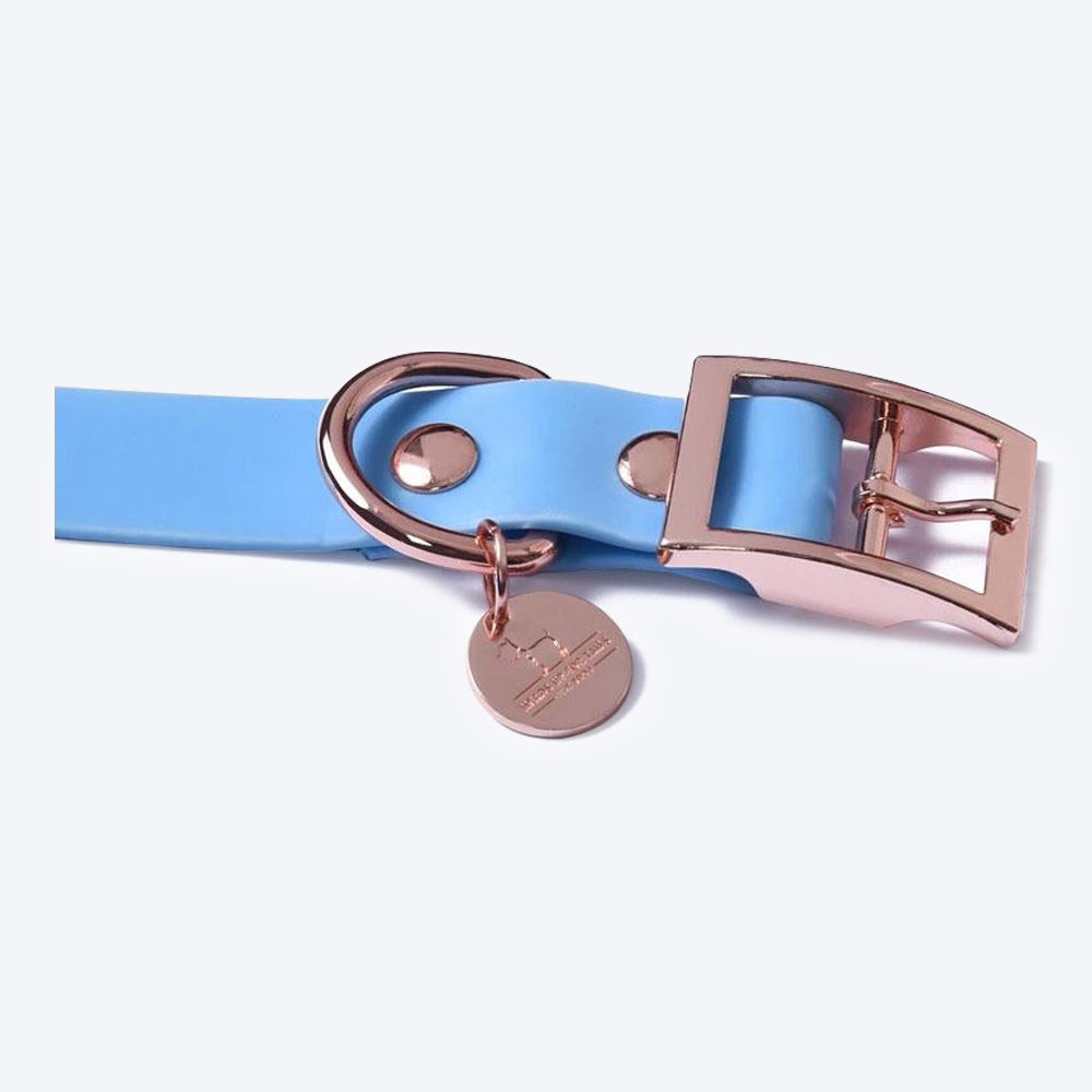 HUFT Pastel Pawprint Rain Friendly Dog Collar - Blue - Heads Up For Tails