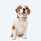 HUFT Pastel Pawprint Rain Friendly Dog Collar - Green - Heads Up For Tails