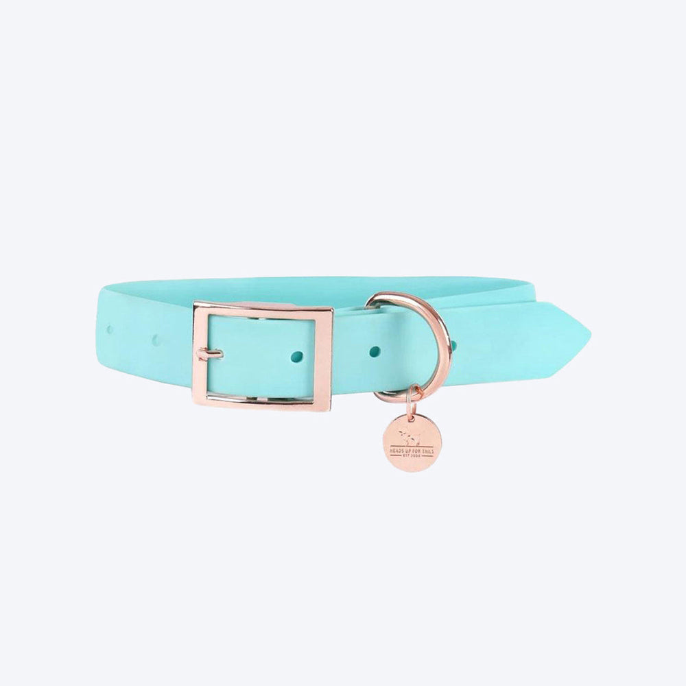 HUFT Pastel Pawprint Rain Friendly Dog Collar - Green - Heads Up For Tails