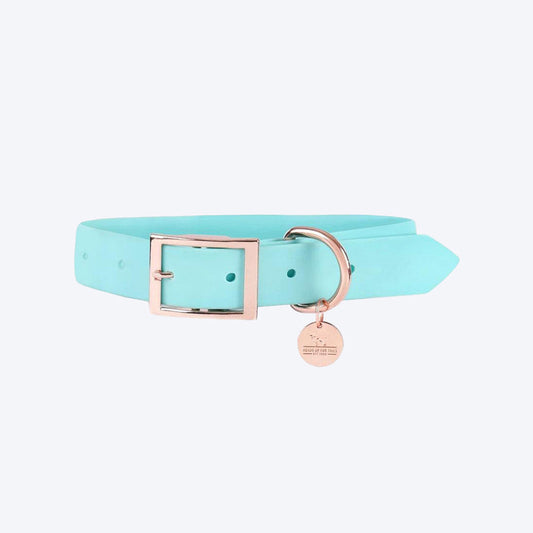 HUFT Pastel Pawprint Rain Friendly Dog Collar - Green - Heads Up For Tails