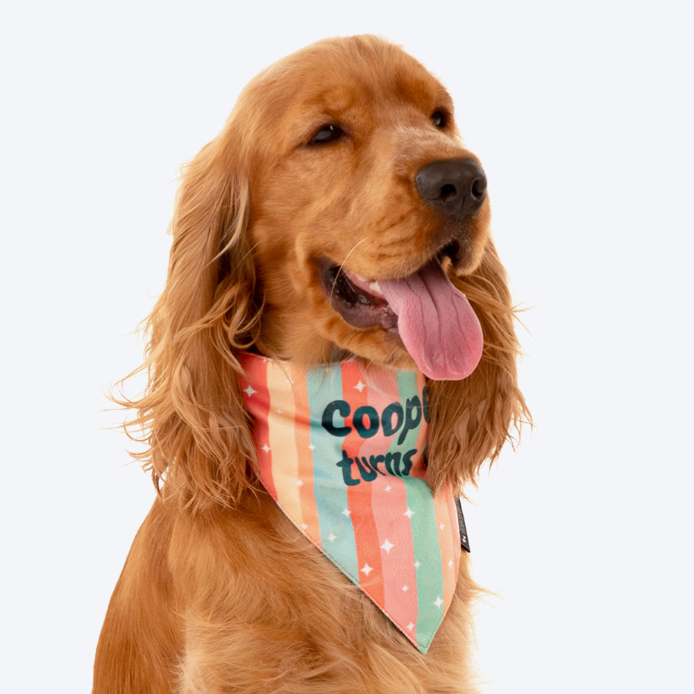 HUFT Personalised Funfetti Birthday Dog Bandana - Heads Up For Tails