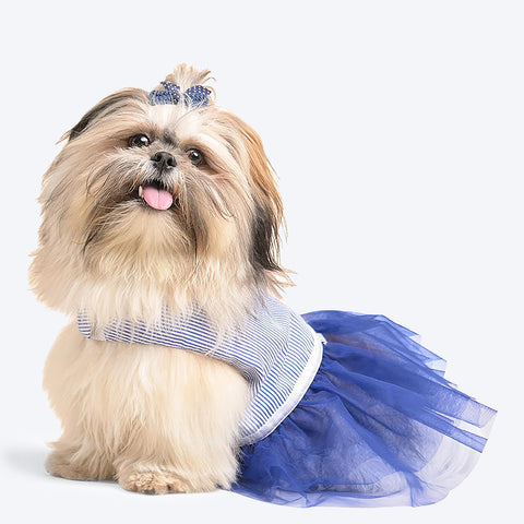 Beautiful hotsell dog dresses