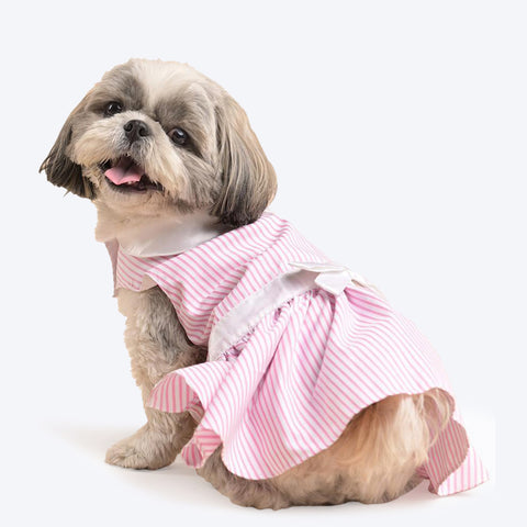 Frocks for outlet dogs