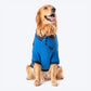 HUFT Polo T-Shirt For Dog - Blue-1